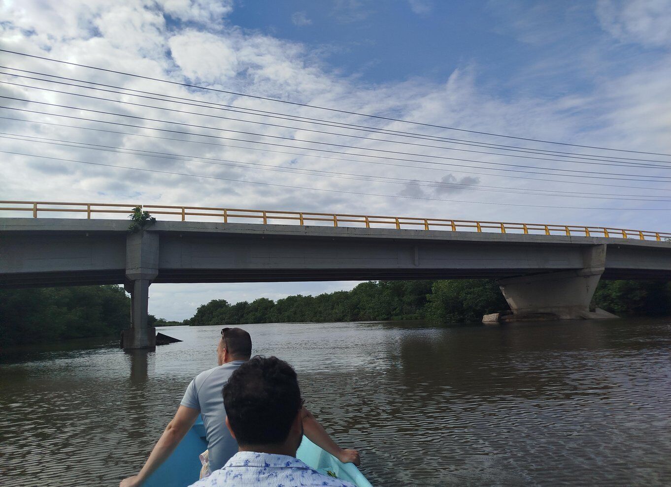 Picture 27 for Activity Cartagena: Sail in the mangroves of Cartagena