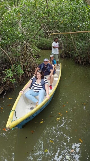 Cartagena, Colombia: Sail in the mangroves of Cartagena