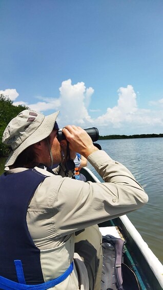 Picture 3 for Activity Cartagena, Colombia: Sail in the mangroves of Cartagena