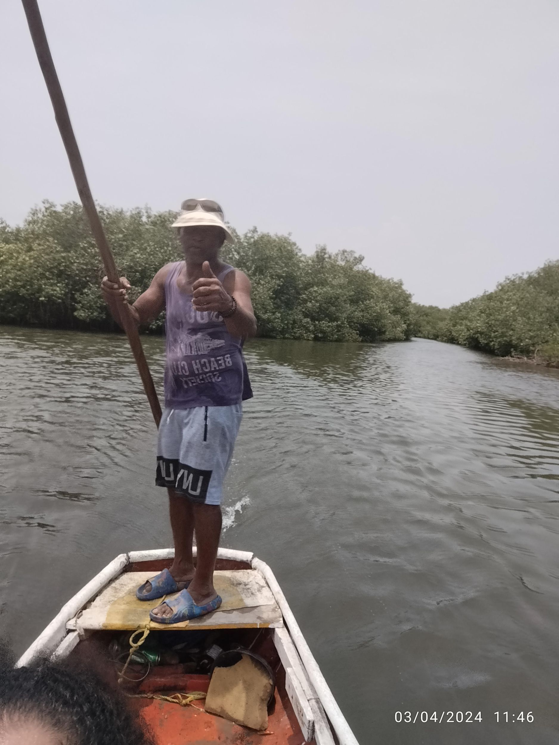 Picture 14 for Activity Cartagena, Colombia: Sail in the mangroves of Cartagena