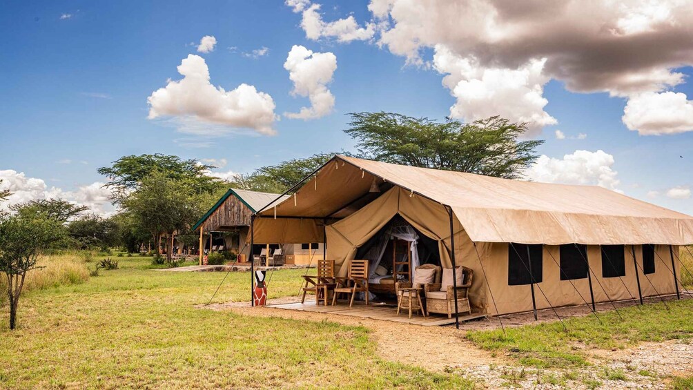 Picture 38 for Activity From Zanzibar: 4-Day Serengeti game drive,night drive,safari