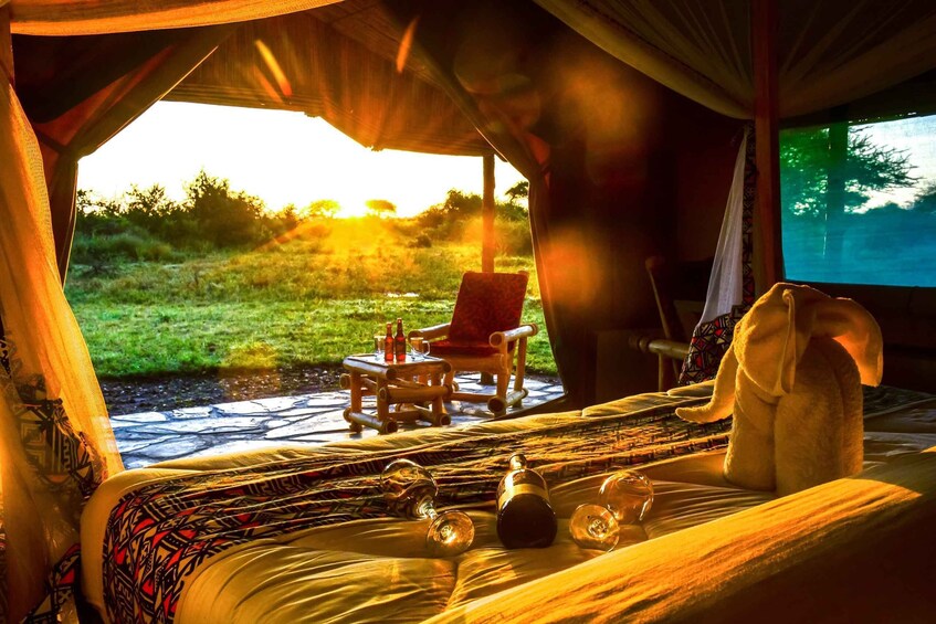 Picture 5 for Activity From Zanzibar: 4-Day Safari in the Serengeti with Flights