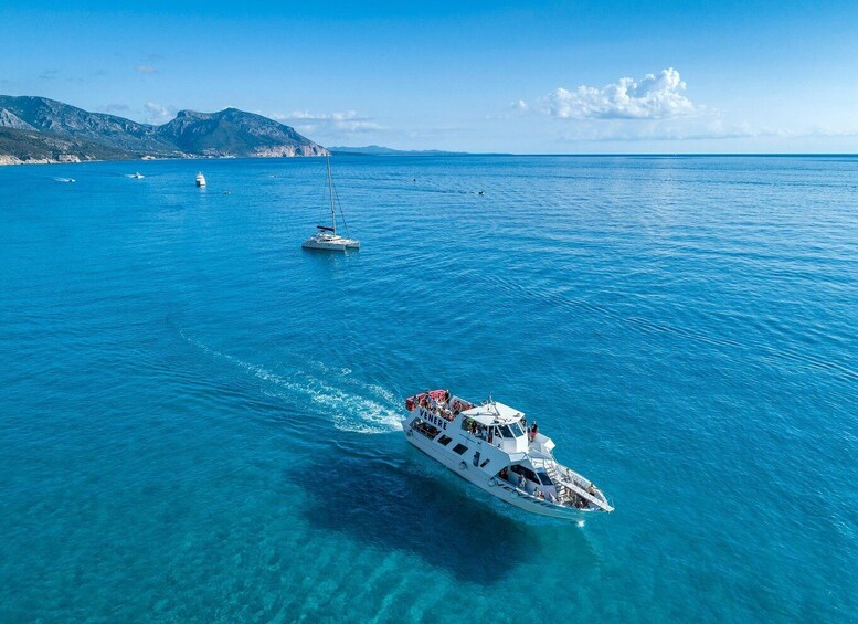 Picture 2 for Activity Cala Gonone: Grotta Bue Marino & Cala Luna Beach Boat Tour