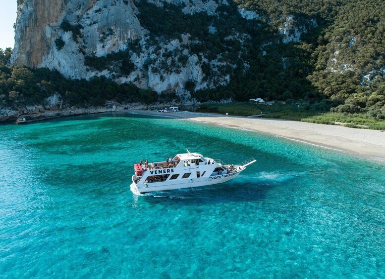 Picture 8 for Activity Cala Gonone: Grotta Bue Marino & Cala Luna Beach Boat Tour