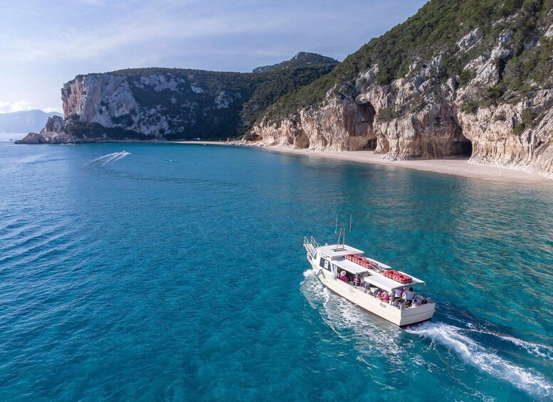 Cala Gonone: Grotta Bue Marino & Cala Luna Beach Boat Tour