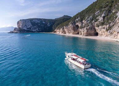 Cala Gonone: recorrido en barco por la playa de Grotta Bue Marino y Cala Lu...