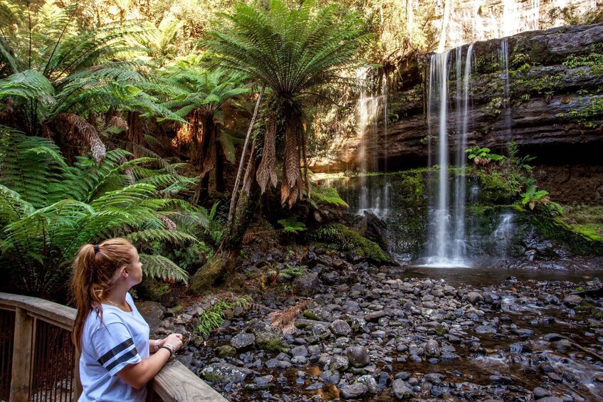 Picture 2 for Activity From Hobart: Mt. Field, Mt. Wellington and Wildlife Day Tour