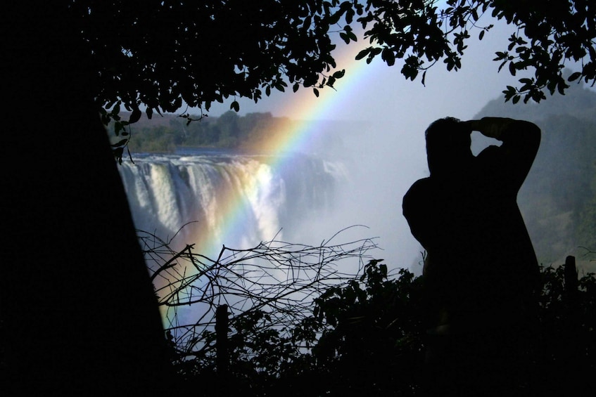 Picture 5 for Activity 2 Days Victoria Falls Chobe National Park Adventure