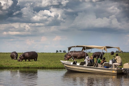 2 Days Victoria Falls Chobe National Park Adventure