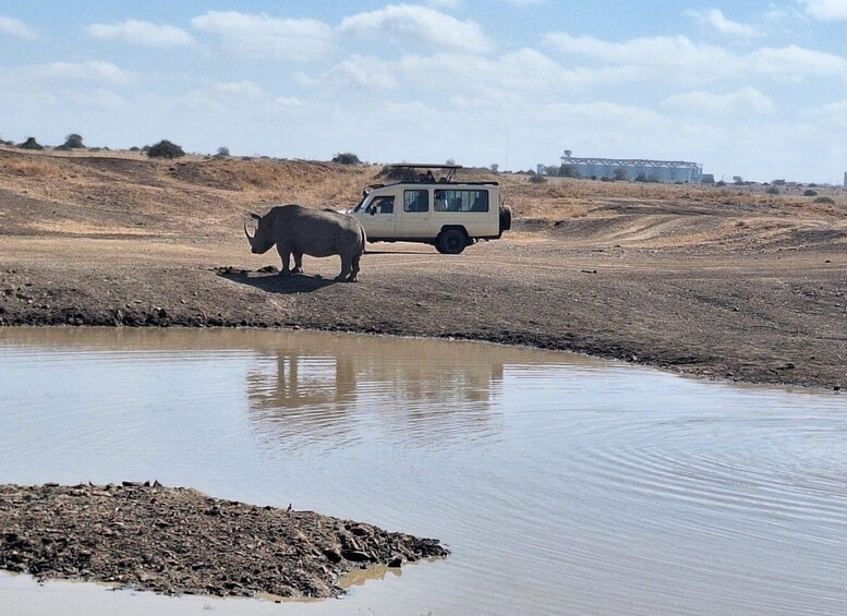 Picture 3 for Activity Nairobi National Park Private Tour & Carnivore Experience