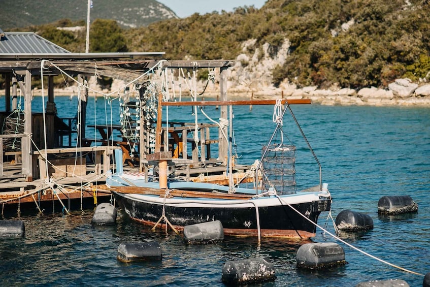 Picture 4 for Activity From Dubrovnik: Mali Ston Oyster Paradise Tour with Transfer