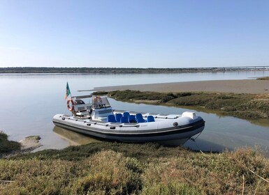 Comporta to Mourisca Tide Mill Boat Tour