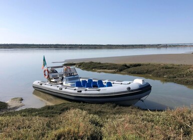 Comporta to Mourisca Tide Mill Boat Tour