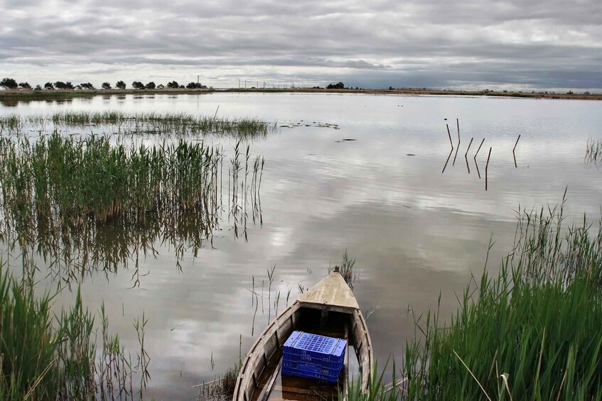 Birdwatching in the Ebro Delta