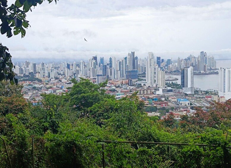 Picture 5 for Activity Half day city tour: Explore the Best of Panama City