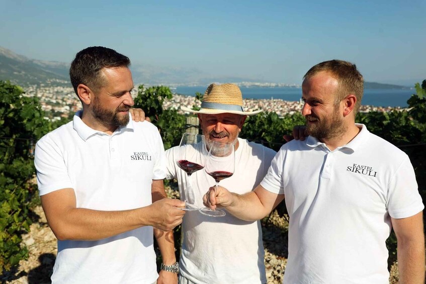 Picture 9 for Activity Private Split & Trogir Wine Tasting & Vineyard with Sea View