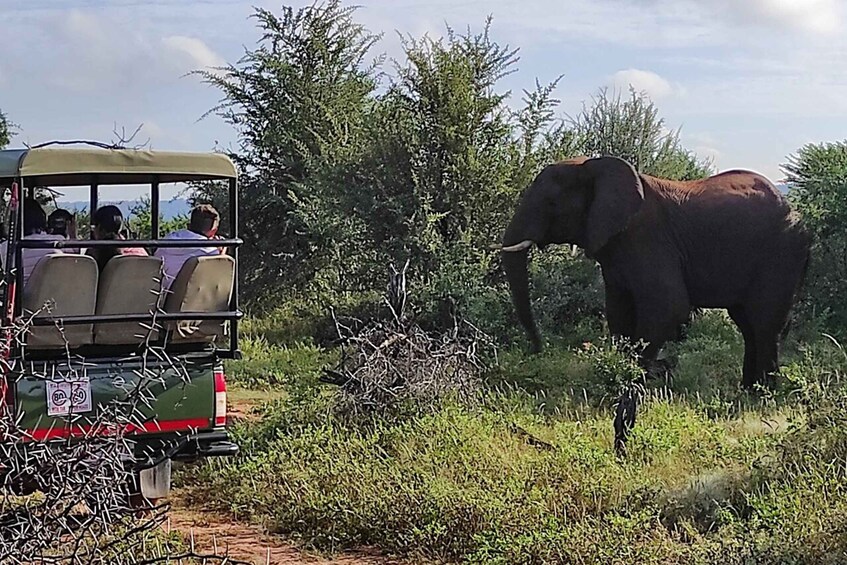 Picture 3 for Activity Victoria Falls: Safari Game Drive with Hotel Pick up