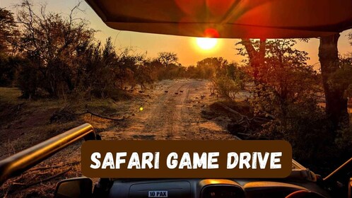 Victorian putoukset: Safari Game Drive with Hotel Pick up