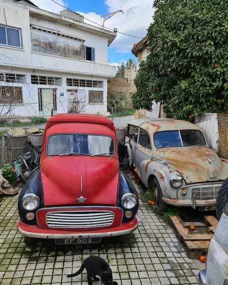 Picture 9 for Activity Nicosia: Inside the Buffer Zone, the last divided Capital