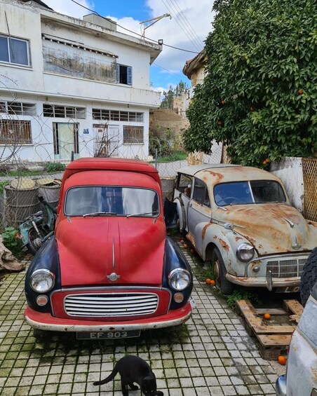 Picture 9 for Activity Nicosia: Inside the Buffer Zone, the last divided Capital