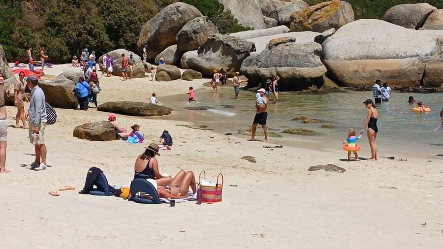 Beach Day at Boulder's Beach & Penguin watching, Half Day