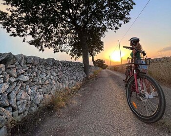 Bari/Gioia del Colle: ebike tour & toasts in vineyard