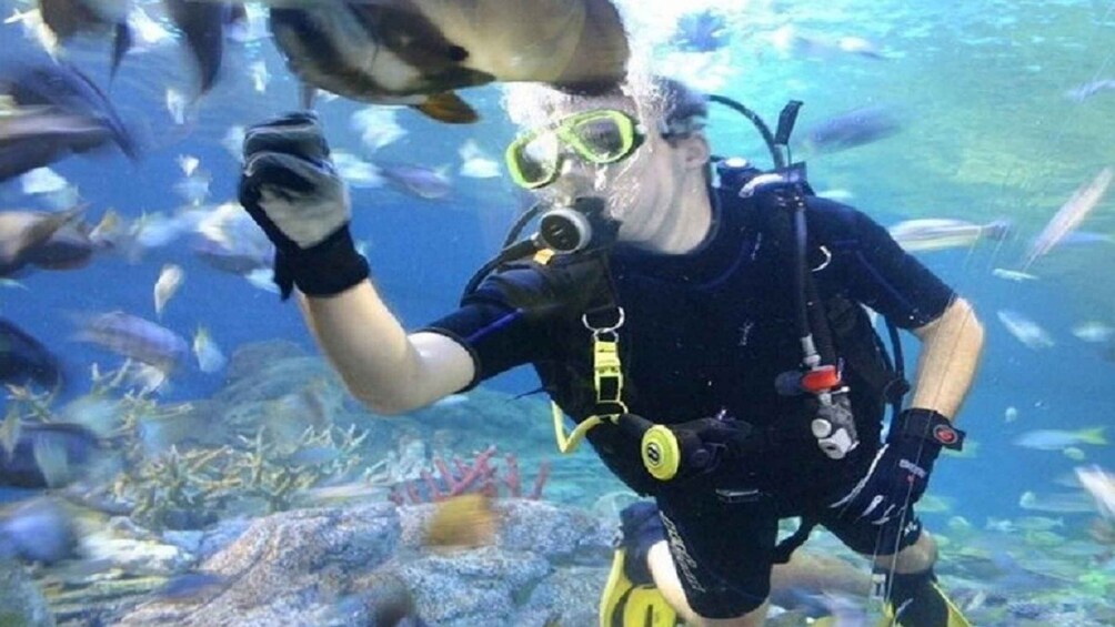 Picture 2 for Activity Pattaya: Underwater World Pattaya Aquarium Admission Ticket