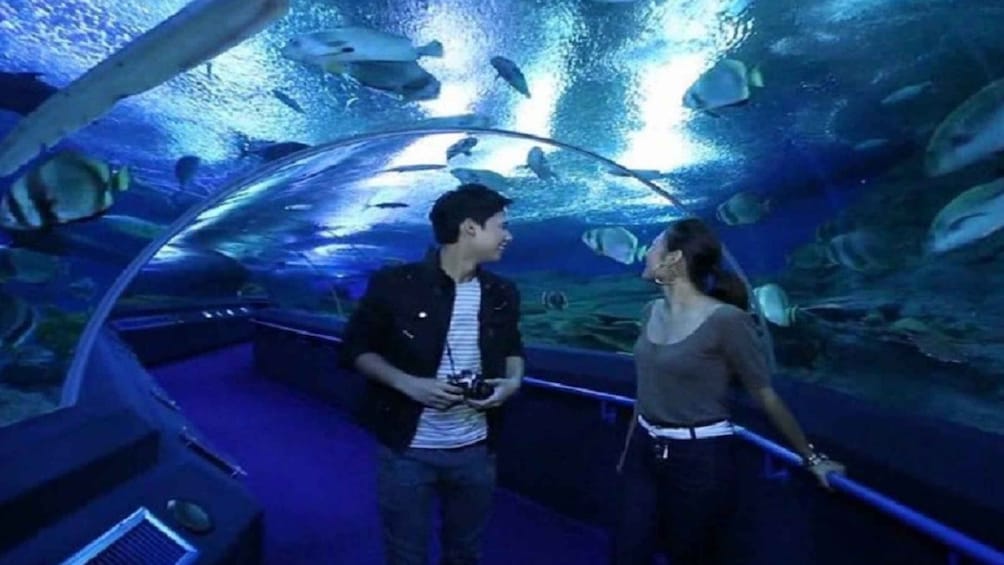 Picture 7 for Activity Pattaya: Underwater World Pattaya Aquarium Admission Ticket