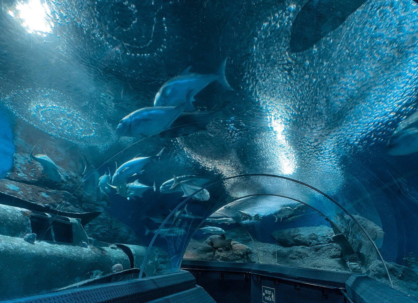 Pattaya: Underwater World Pattaya Aquarium Admission Ticket