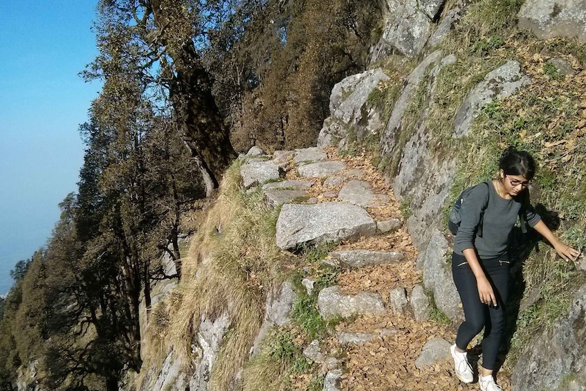 Picture 8 for Activity Hiking Day Tour to Triund from Dharamshala