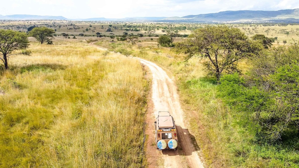 Picture 8 for Activity From Zanzibar: 2-Day Serengeti Safari Tour with Flights