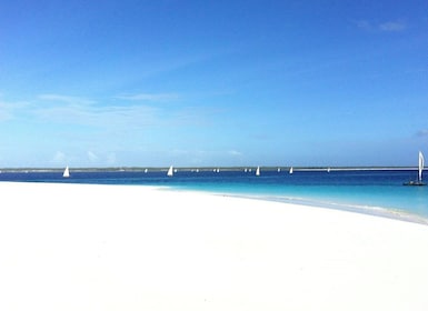 Prison Island Tour with Lunch, Zanzibar Horseback Riding