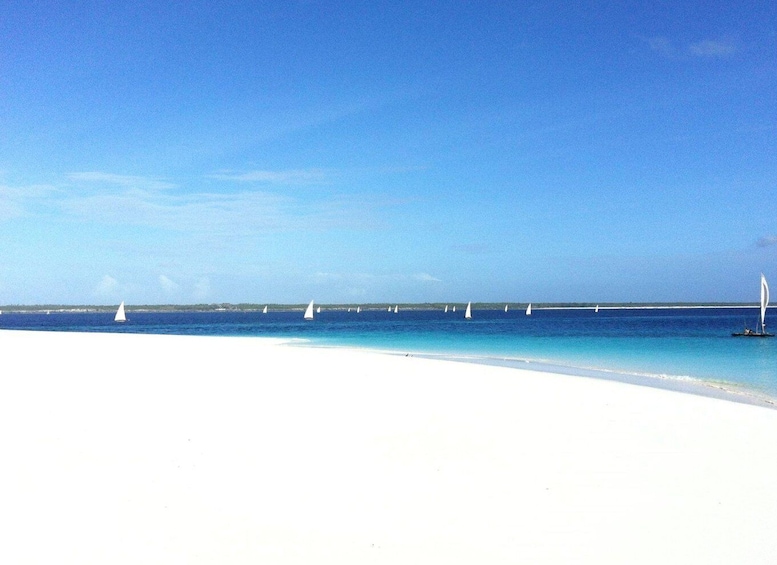 Prison Island Tour with Lunch, Zanzibar Horseback Riding