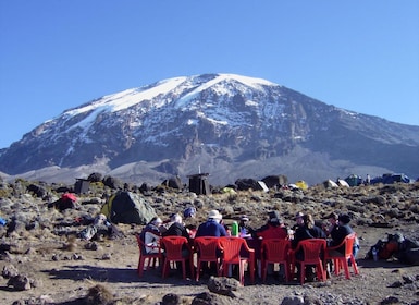 Excursión de 2 días a las cascadas de Materuni y caminatas por el Kilimanja...