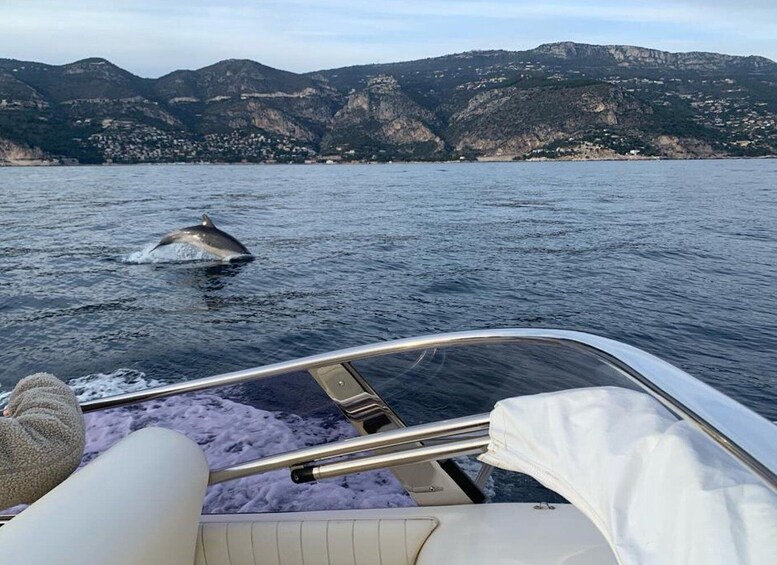 Picture 14 for Activity Saint-Jean-Cap-Ferrat: French Riviera Luxury Cruise