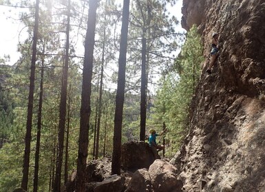 拉斯帕爾馬斯：羅克努布洛附近的日落登山之旅