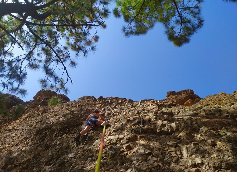 Picture 2 for Activity Las Palmas: Sunset Mountain Climbing Trip Near Roque Nublo