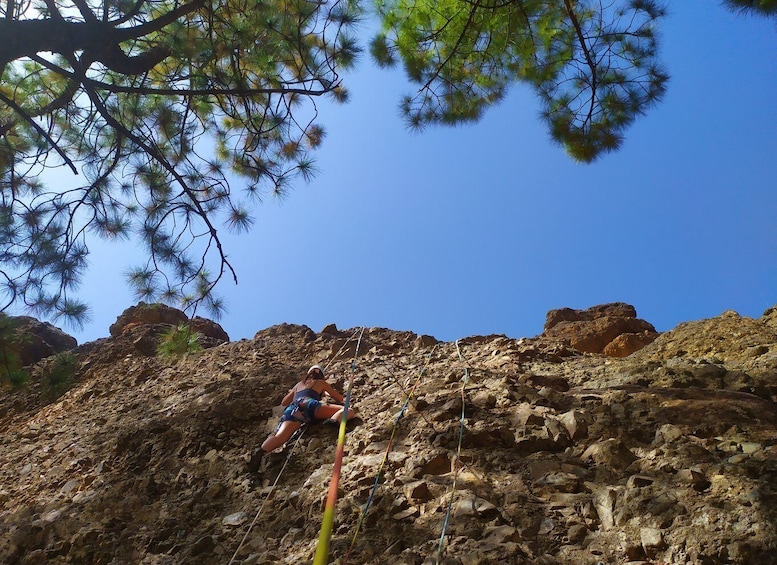 Picture 1 for Activity Las Palmas: Sunset Mountain Climbing Trip Near Roque Nublo