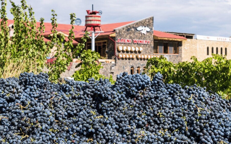 Picture 24 for Activity From Yerevan: Khor Virap - Areni winery (cave) - Noravank