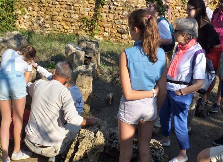 Picture 4 for Activity Carthage: Walking Tour of Archaeological Sites and Ruins
