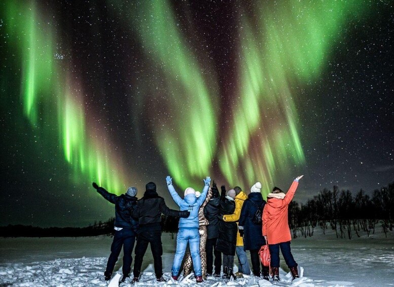 Picture 2 for Activity Lapland: Aurora Borealis BBQ Tour