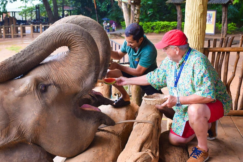 Picture 2 for Activity From Kandy: Pinnawala and Botanical Garden Tour By Tuk Tuk