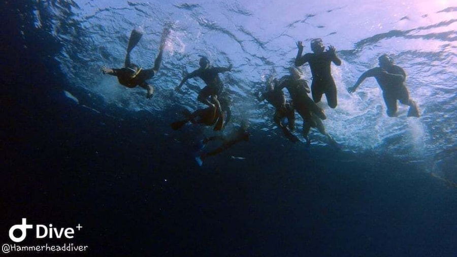 Boat snorkeling with open buffet BBQ 4-5 hours