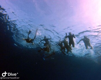 Boat snorkelling with open buffet BBQ 4-5 hours