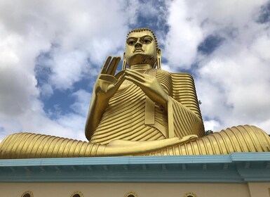 Sigiriya Lion's Rock & Dambulla Golden Cave Temple Trip