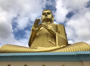 Sigiriya Lion's Rock & Dambulla Golden Cave Temple Trip