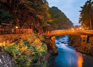 Tokio: tour privado de un día por Nikko con conductor de habla inglesa