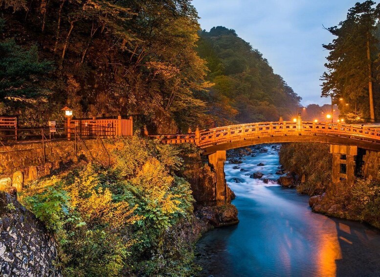 From Tokyo: Nikko Private Tour English Speaking Driver