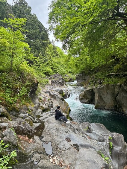 Picture 2 for Activity From Tokyo: Nikko Private Tour English Speaking Driver