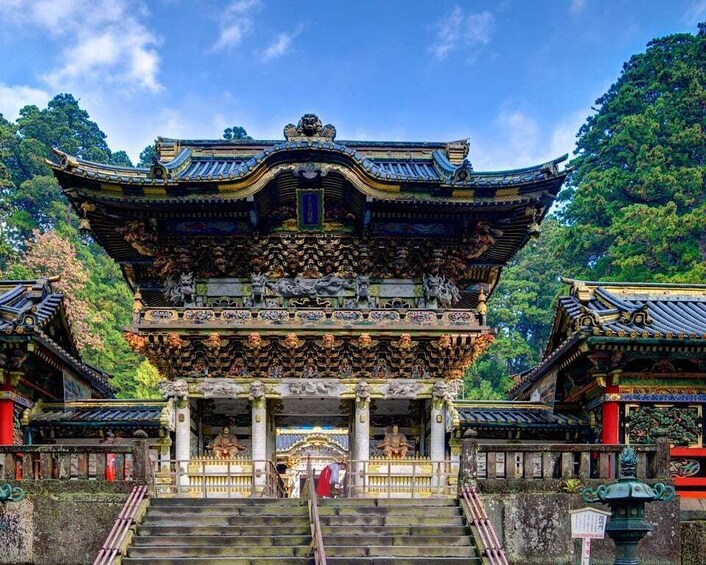 From Tokyo: Nikko Private Tour English Speaking Driver